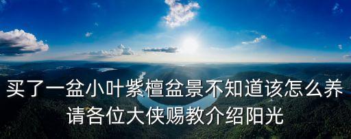 買了一盆小葉紫檀盆景不知道該怎么養請各位大俠賜教介紹陽光