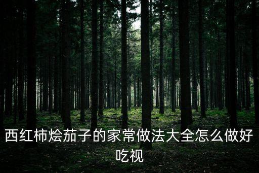 西紅柿燴茄子的家常做法大全怎么做好吃視
