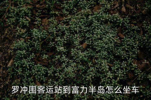 羅沖圍客運(yùn)站到富力半島怎么坐車