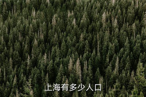 上海有多少人口