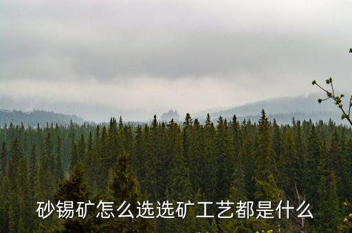 廣州選砂錫礦廠家，怎么選沙錫礦錫礦石的選礦方法和設(shè)備選錫礦工藝流程圖