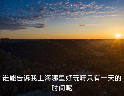 誰能告訴我上海哪里好玩呀只有一天的時間呢