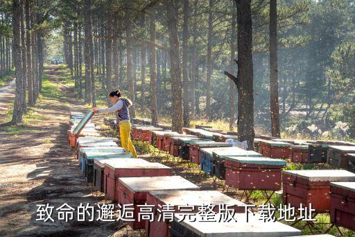致命的邂逅高清完整版下載地址