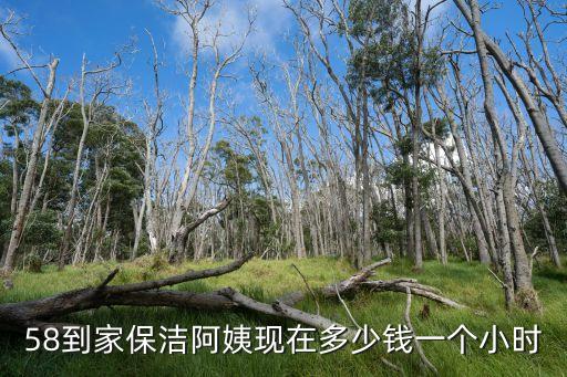 上海市58到家，58到家保潔阿姨現在多少錢一個小時