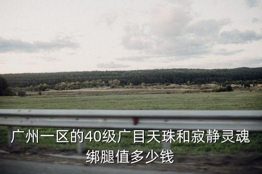 廣州一區的40級廣目天珠和寂靜靈魂綁腿值多少錢