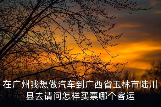 在廣州我想做汽車到廣西省玉林市陸川縣去請問怎樣買票哪個客運
