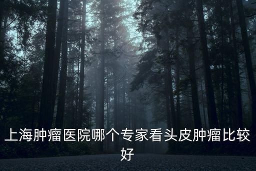 上海腫瘤醫院哪個專家看頭皮腫瘤比較好