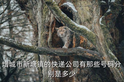 增城市新塘鎮的快遞公司有那些號碼分別是多少