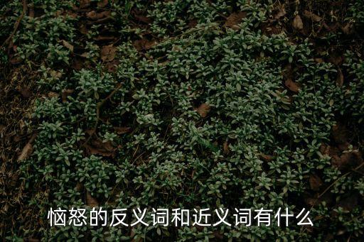 惱怒的反義詞和近義詞有什么