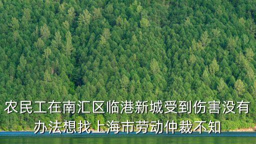 農(nóng)民工在南匯區(qū)臨港新城受到傷害沒(méi)有辦法想找上海市勞動(dòng)仲裁不知