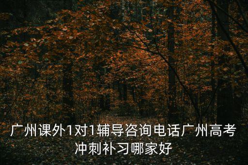 廣州課外1對1輔導咨詢電話廣州高考沖刺補習哪家好