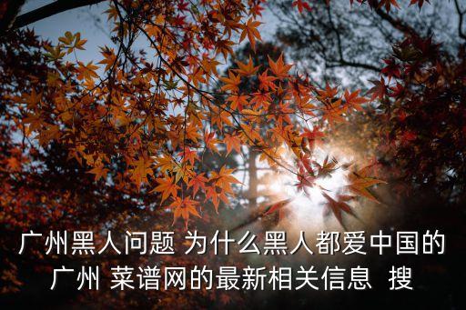 廣州黑人問題 為什么黑人都愛中國的廣州 菜譜網的最新相關信息  搜