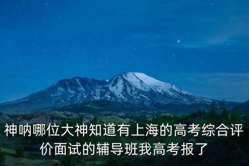 神吶哪位大神知道有上海的高考綜合評價面試的輔導班我高考報了
