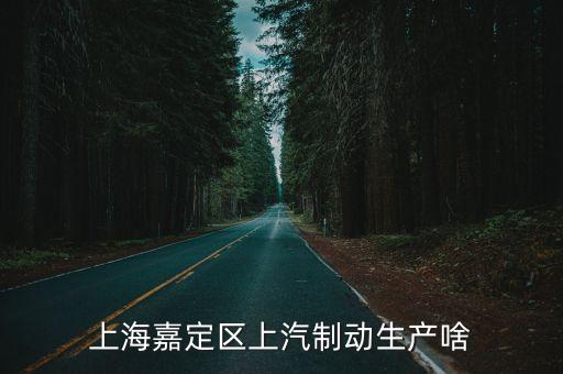 上海市嘉定區上汽制動，嘉定上汽制動有限公司屬于國企嗎