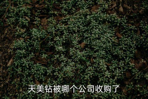 天美鉆被哪個公司收購了
