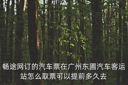 暢途網(wǎng)訂的汽車(chē)票在廣州東圃汽車(chē)客運(yùn)站怎么取票可以提前多久去