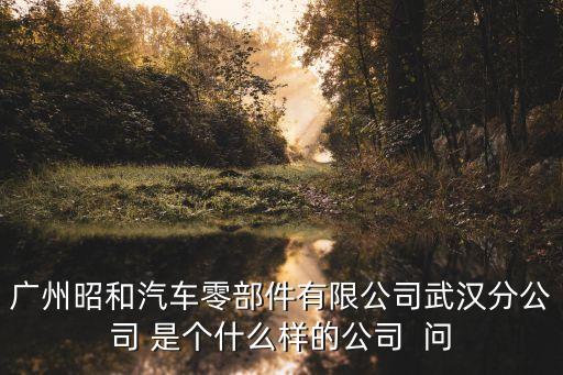 廣州昭和武漢分公司的現(xiàn)狀，武漢元豐汽車零部件有限公司的簡介