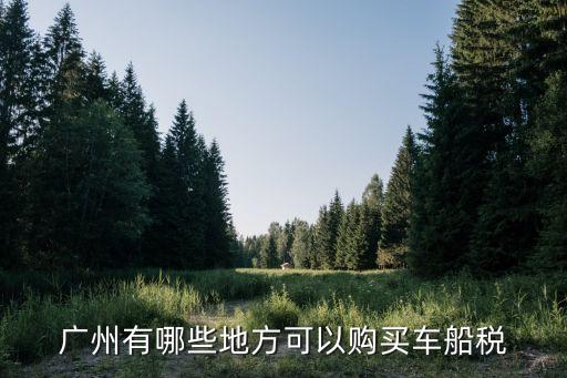 廣州哪里有車船稅，廣州有哪些地方可以購買車船稅