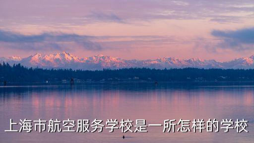 上海市航空服務學校是一所怎樣的學校