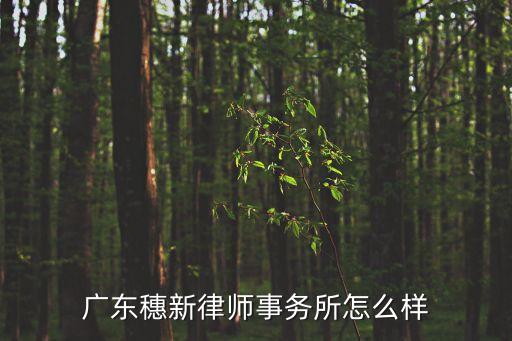 廣東穗新律師事務(wù)所怎么樣