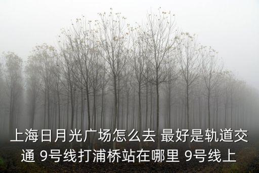 上海市漕寶路日月光怎么走，上海漕寶路田林路附件有什么叫月光的地方嗎只要有月光2個字的