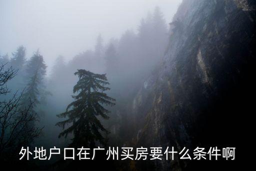 外地人在廣州買廠房，外地戶口在廣州買房要什么條件啊