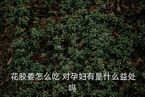 花膠的功效和作用，花膠有什么功效