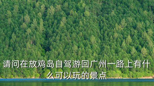 請問在放雞島自駕游回廣州一路上有什么可以玩的景點