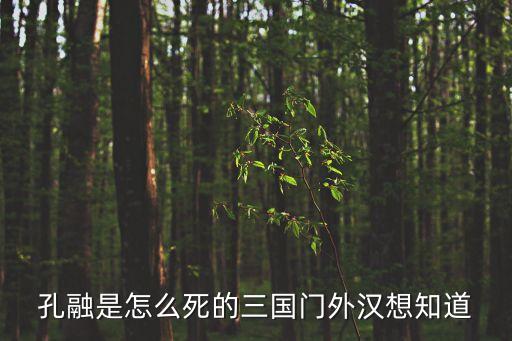 孔融是怎么死的三國門外漢想知道