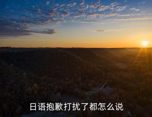日語抱歉打擾了都怎么說