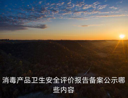 消毒產(chǎn)品衛(wèi)生安全評價報告?zhèn)浒腹灸男﹥?nèi)容