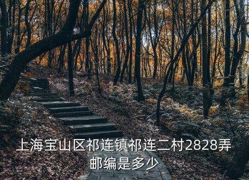 上海市祁連二村貼吧，祁連二村周邊有什么雙語小學和幼兒園有一套二村三樓的房子43