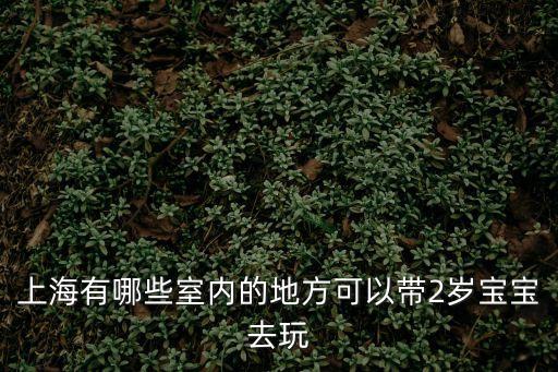 上海有哪些室內的地方可以帶2歲寶寶去玩
