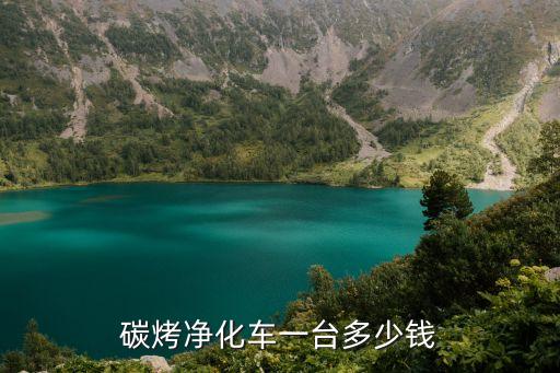碳烤凈化車一臺多少錢