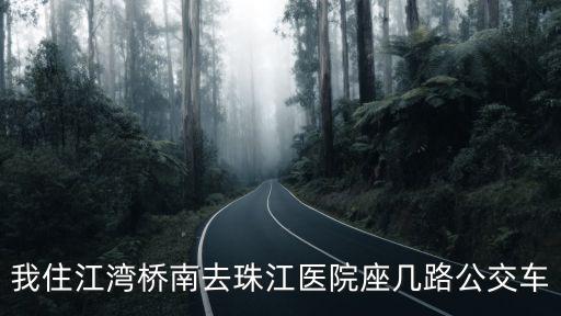 我住江灣橋南去珠江醫(yī)院座幾路公交車