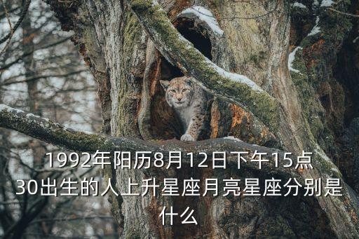 廣州樓市印象，美國(guó)簽證怎么預(yù)約需要注意什么