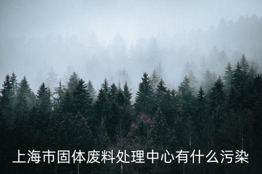 上海市固體廢物處置中心環評，上海市固體廢料處理中心有什么污染