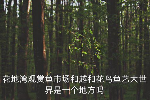 廣州花地灣看魚視頻，花地灣觀賞魚市場和越和花鳥魚藝大世界是一個(gè)地方嗎