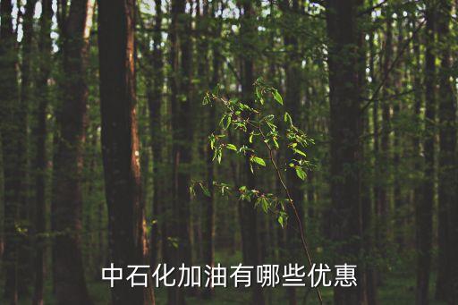 中石化加油有哪些優(yōu)惠