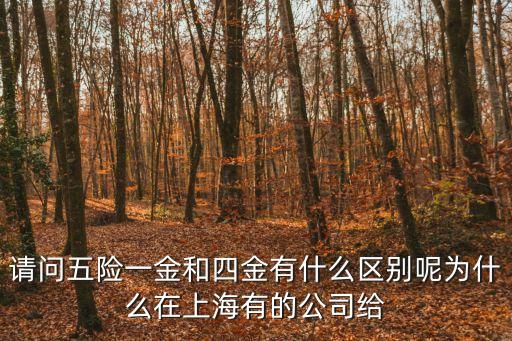 請問五險一金和四金有什么區(qū)別呢為什么在上海有的公司給