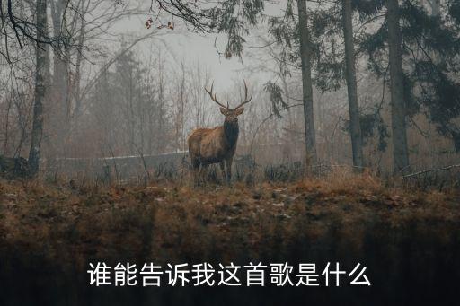 感動(dòng)天感動(dòng)地歌詞，歌詞感動(dòng)天感動(dòng)地就是感動(dòng)不了你是什么歌曲啊