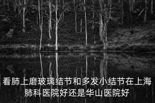 上海市肺科醫院治療肺部結節如何，肺部小結節