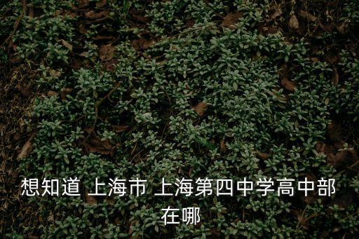 想知道 上海市 上海第四中學高中部 在哪
