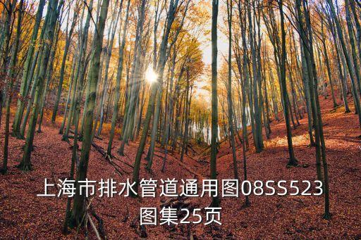 上海市地下管線庫，上海市排水管道通用圖08SS523圖集25頁