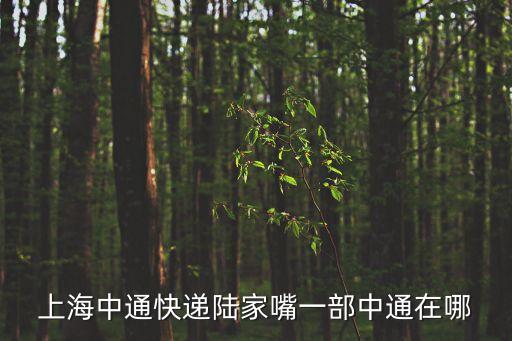 上海中通快遞陸家嘴一部中通在哪
