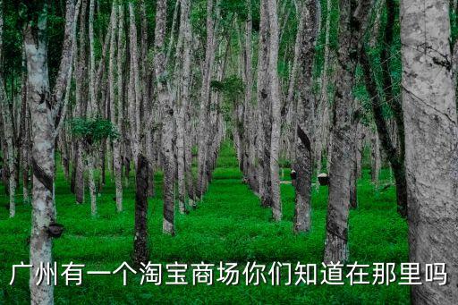 廣州有一個淘寶商場你們知道在那里嗎