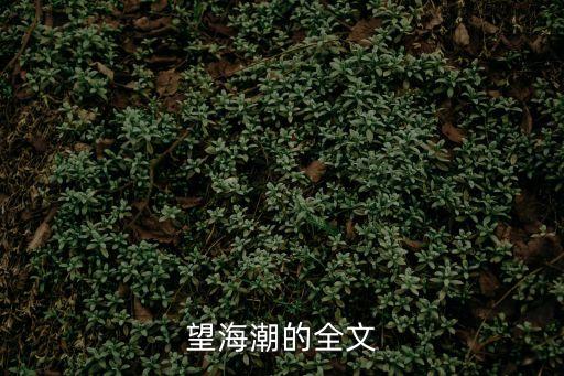 望海潮的全文