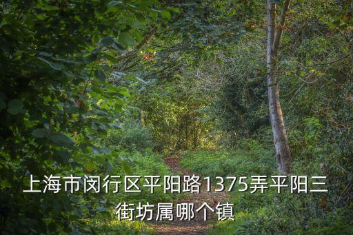 上海市閔行區平陽三街坊地址，上海市閔行區平陽路1375弄平陽三街坊屬哪個鎮