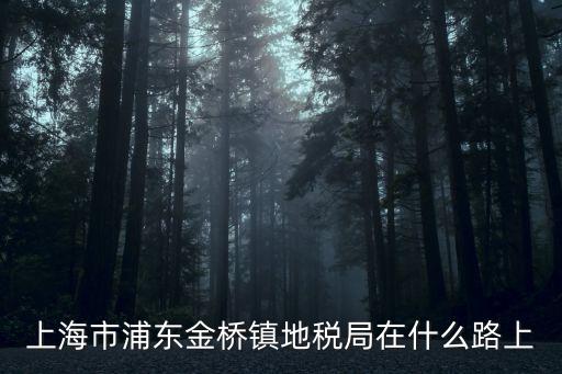 上海市稅務局浦東第五稅務所，上海市浦東金橋鎮地稅局在什么路上