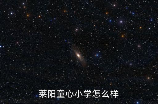 上海市萊陽小學(xué)風(fēng)氣怎么樣，上海市浦東新區(qū)萊陽小學(xué)